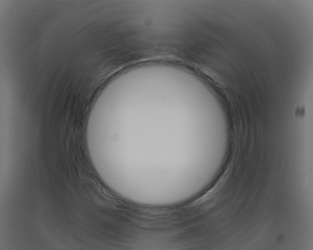 X0000093411257200710120909