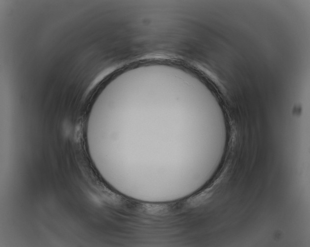 X0000093411258200710120909