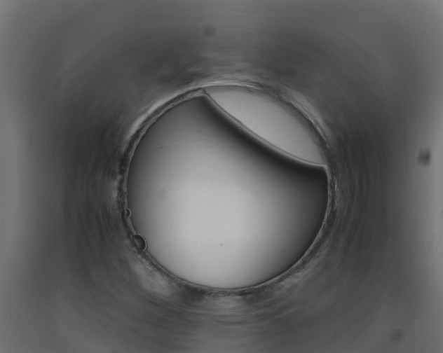 X0000093411260200710120909