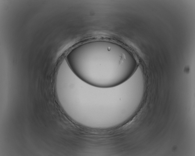X0000093411261200710120909
