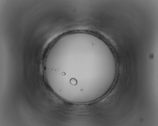 X0000093411262200710120909