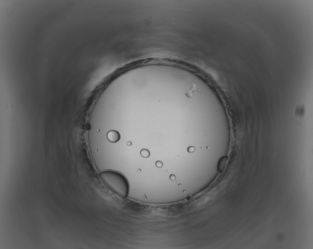 X0000093411263200710120909