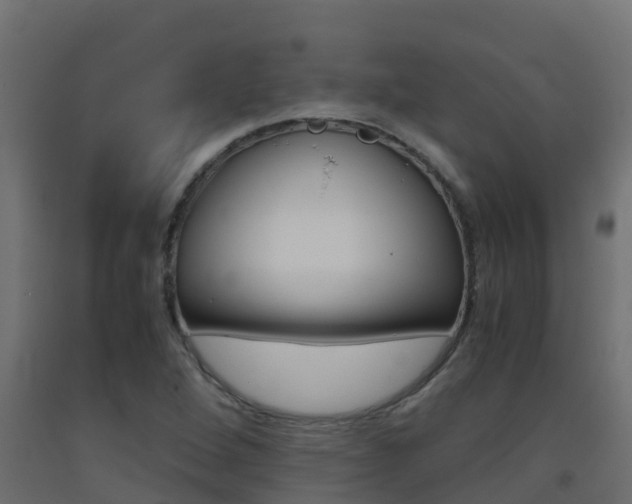 X0000093411264200710120909