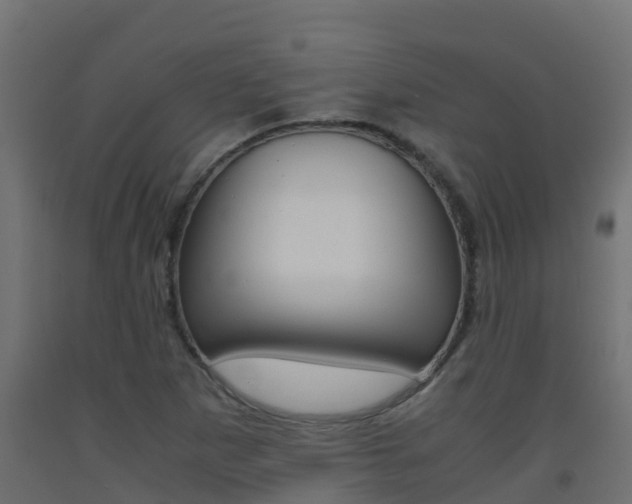 X0000093411265200710120909