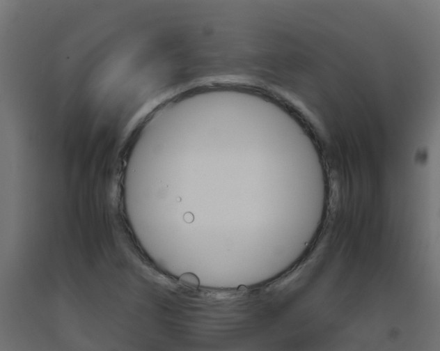 X0000093411266200710120909