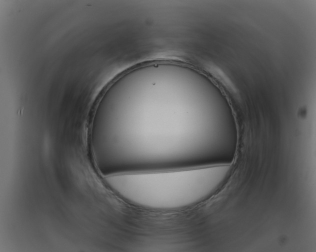 X0000093411268200710120909