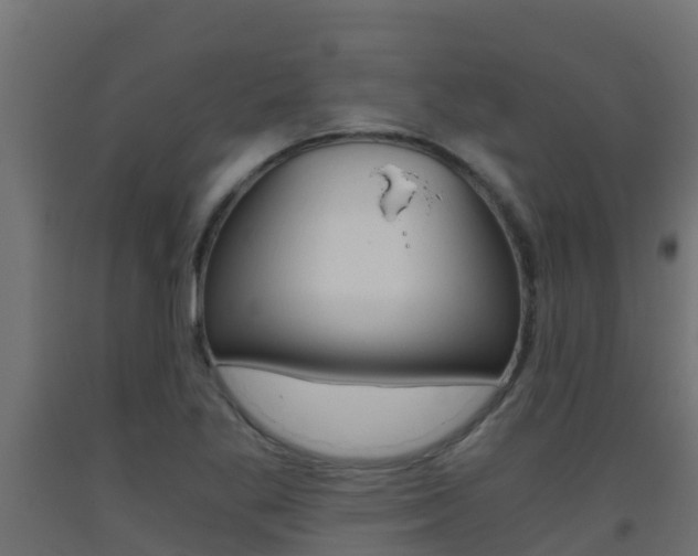 X0000093411269200710120909