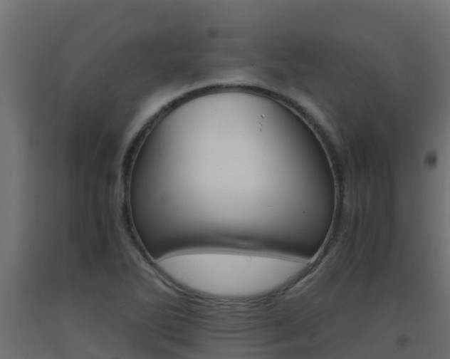 X0000093411270200710120909