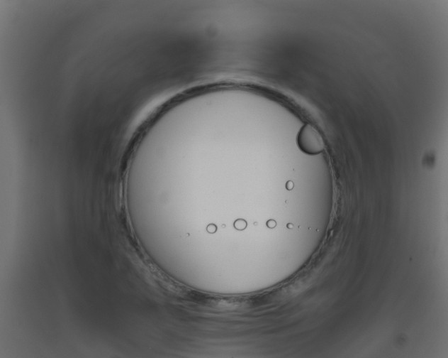 X0000093411271200710120909