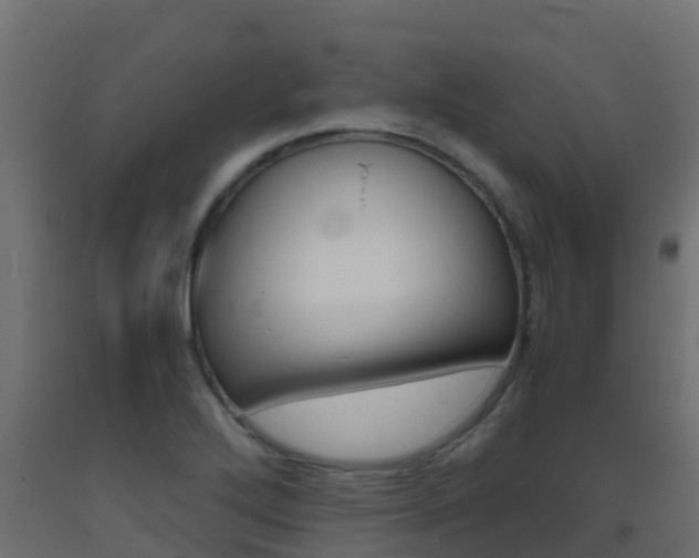 X0000093411272200710120909