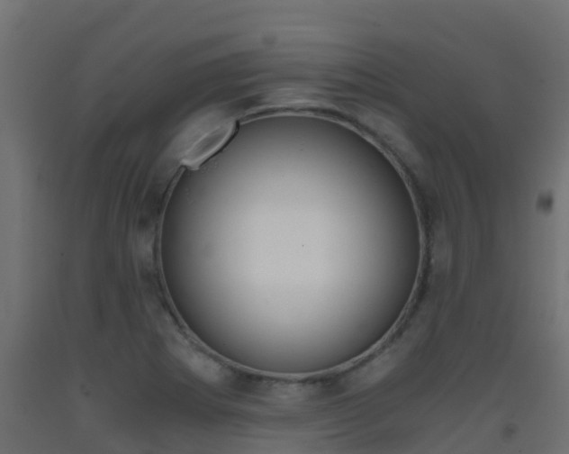 X0000093411273200710120909