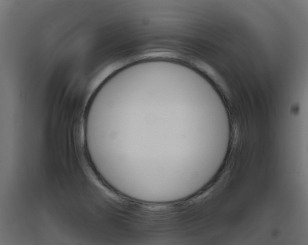 X0000093411274200710120909