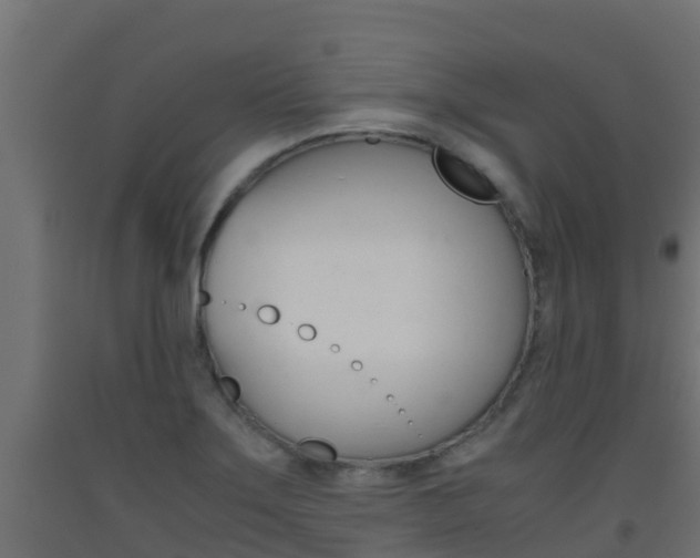 X0000093411275200710120909