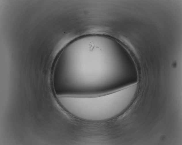 X0000093411277200710120909