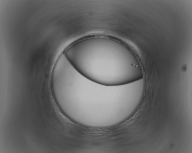 X0000093411279200710120909