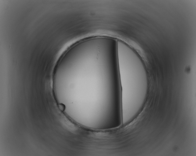 X0000093411280200710120908