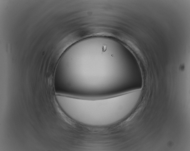 X0000093411281200710120908