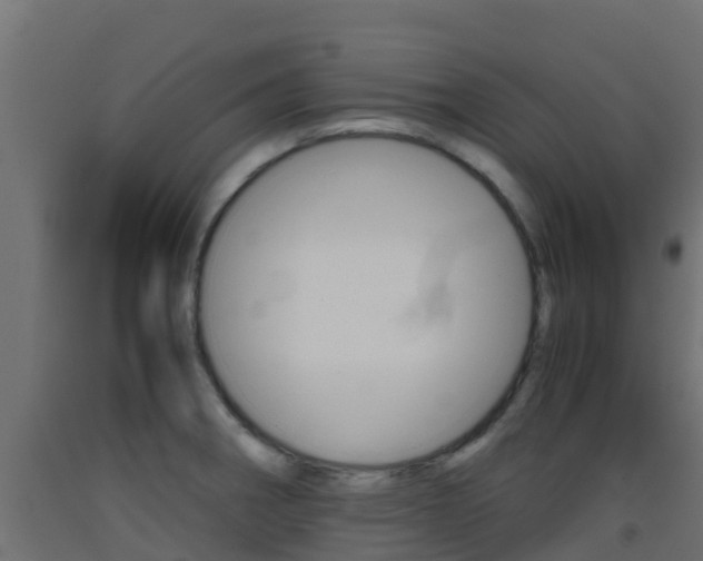 X0000093411282200710120908