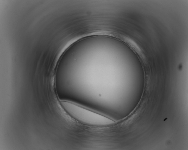 X0000093411284200710120908