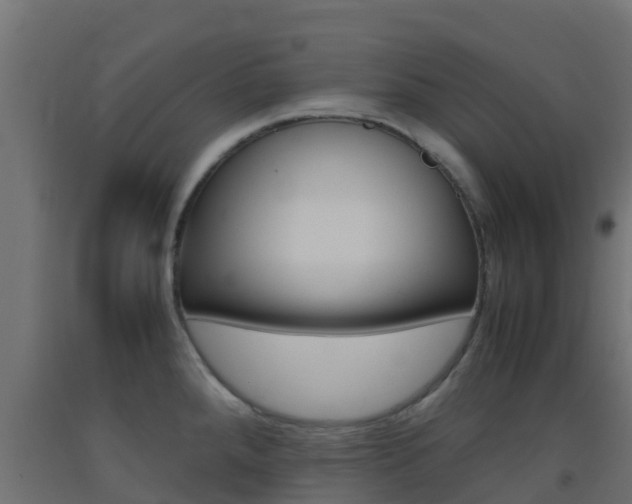 X0000093411288200710120908