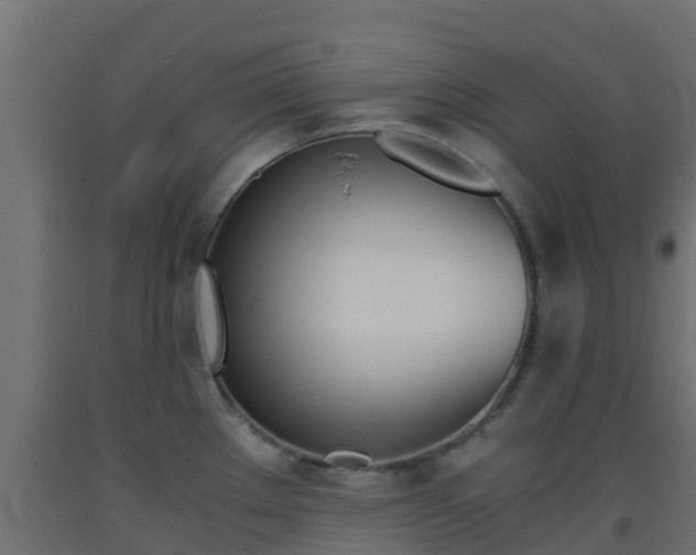 X0000093411289200710120908