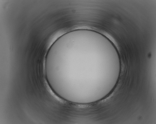X0000093411290200710120908