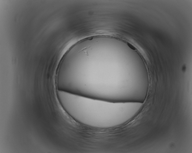 X0000093411291200710120908