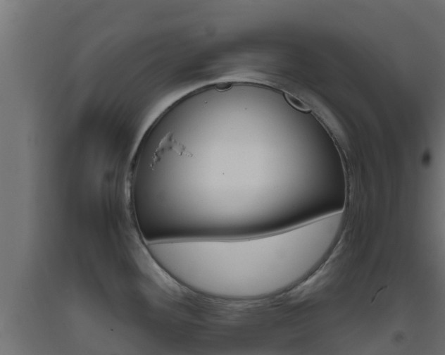 X0000093411292200710120908
