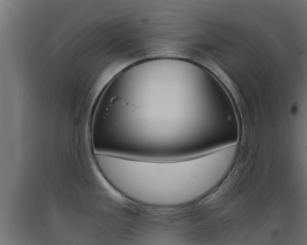 X0000093411293200710120908
