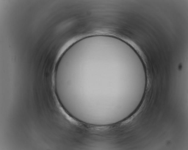 X0000093411294200710120908