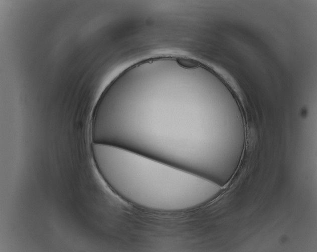 X0000093411295200710120908