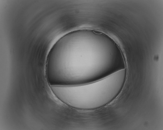 X0000093411296200710120908