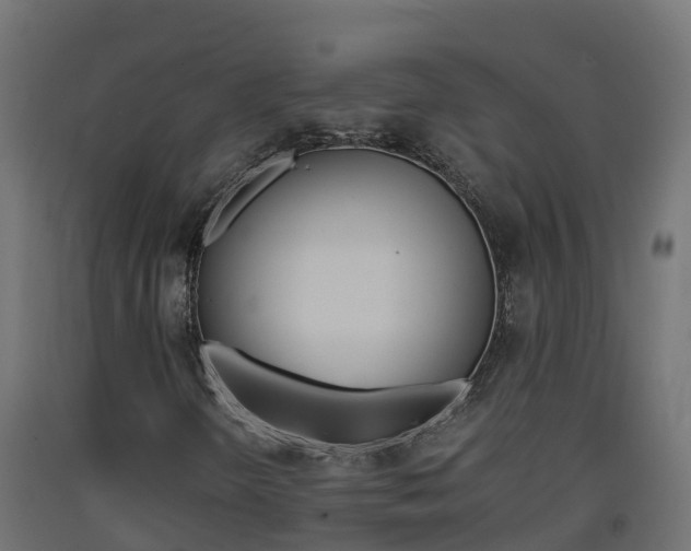 X0000093411298200710120908
