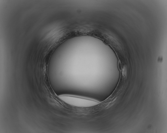 X0000093411299200710120908