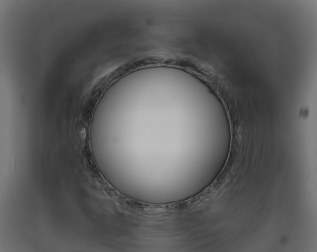 X0000093411302200710120908