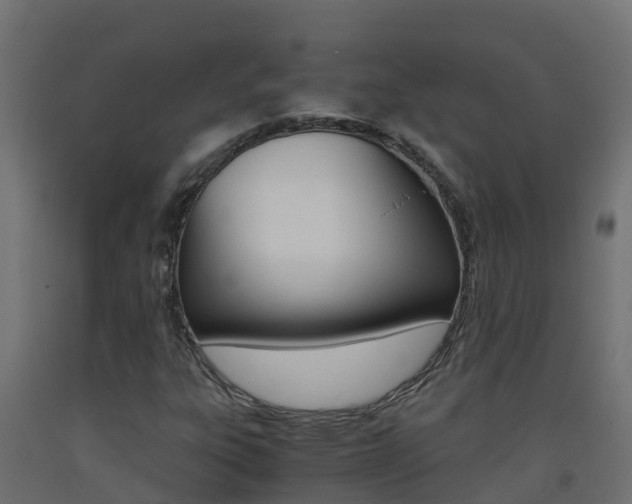 X0000093411303200710120908