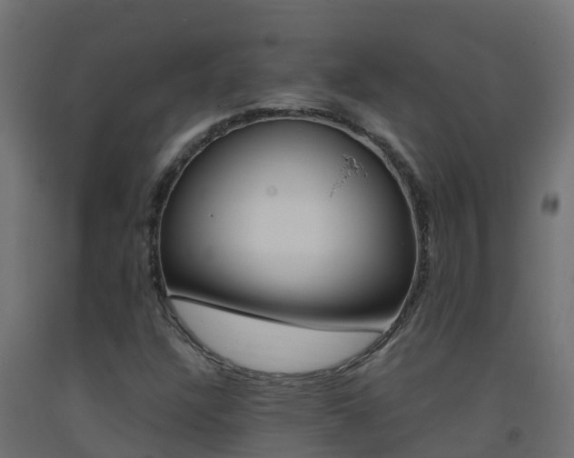 X0000093411304200710120908
