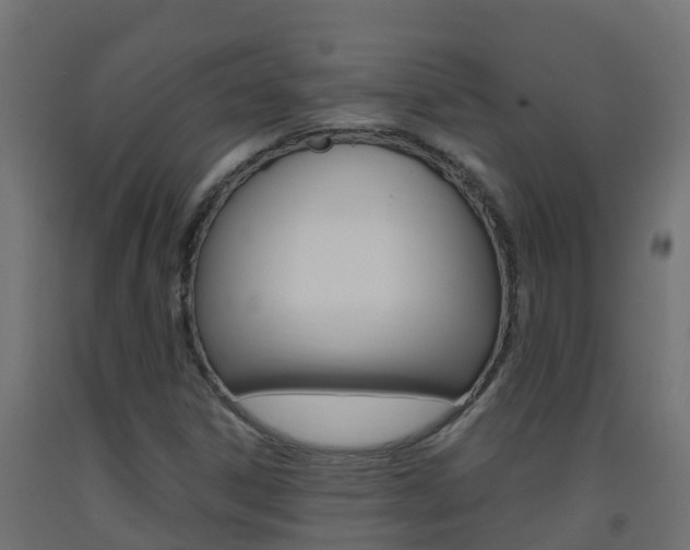 X0000093411306200710120908