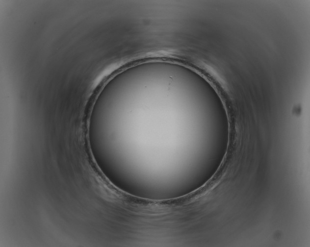 X0000093411308200710120908