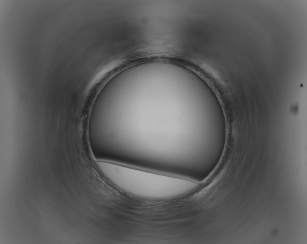 X0000093411309200710120908