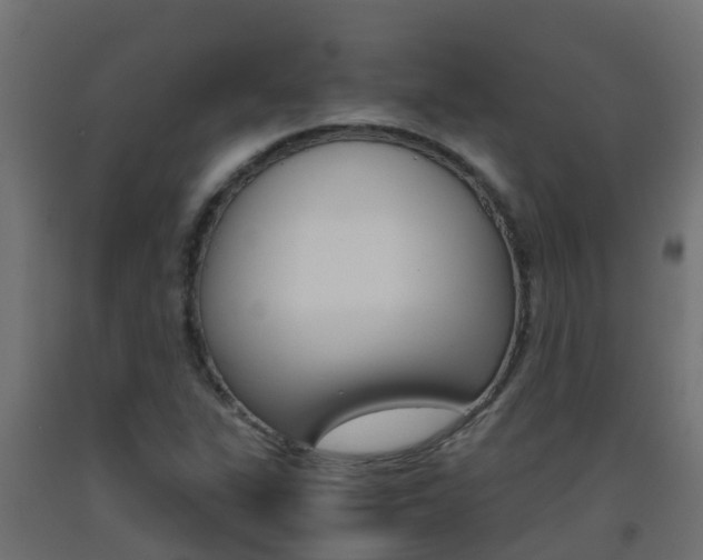 X0000093411311200710120908