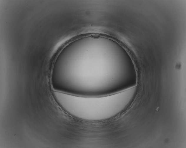 X0000093411312200710120908