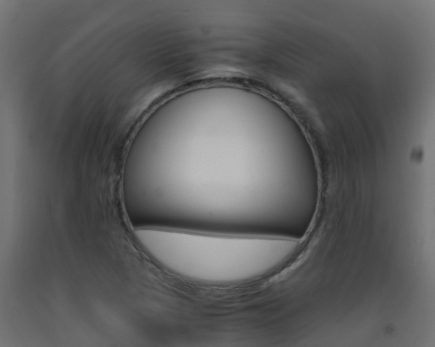 X0000093411313200710120908