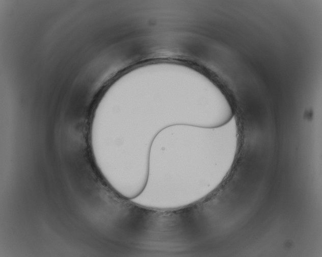 X0000093411314200710120908