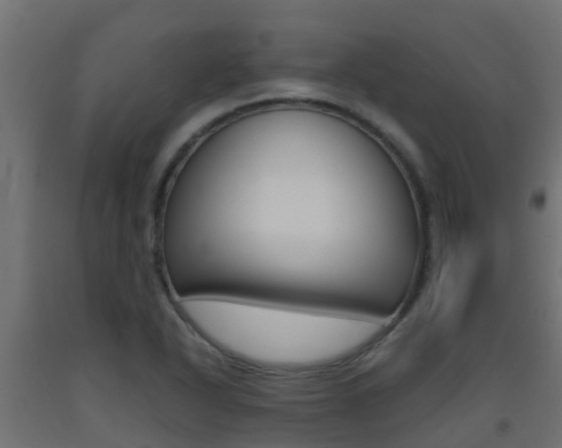 X0000093411318200710120908