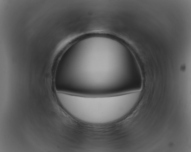 X0000093411319200710120908