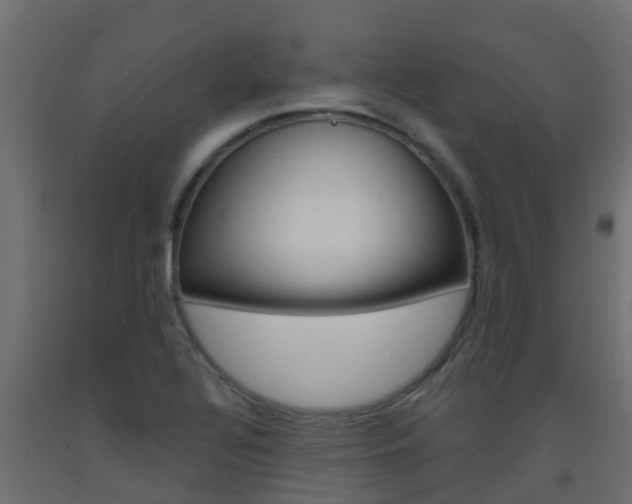 X0000093411320200710120908