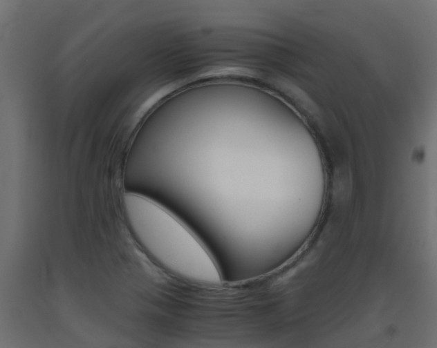 X0000093411321200710120908