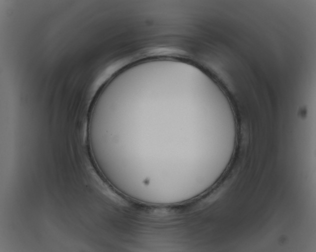 X0000093411322200710120908