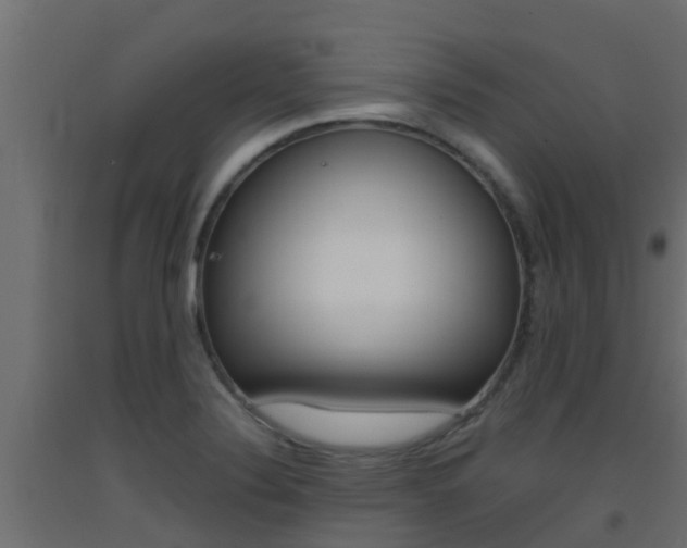 X0000093411324200710120908